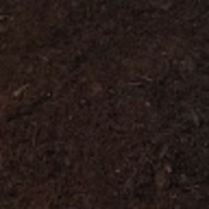 Meet your Posher, Jacky